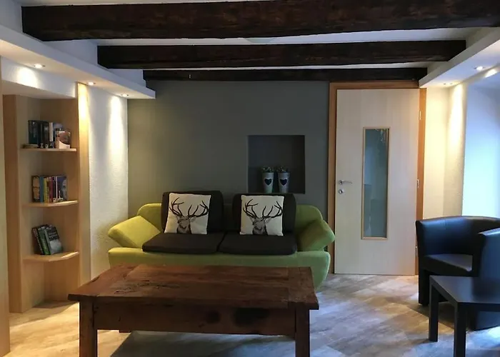 Alp Appartments فندق