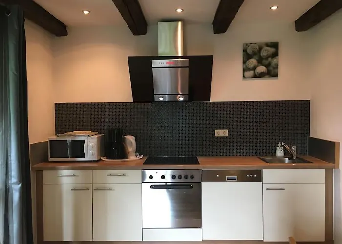 Alp Appartments فندق